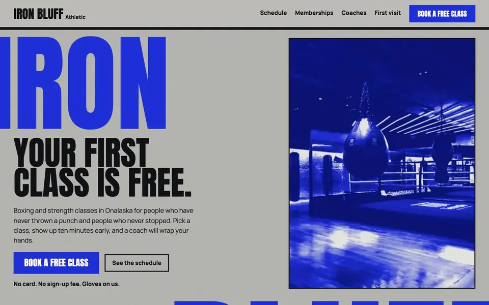 Home page of the Iron Bluff concept site