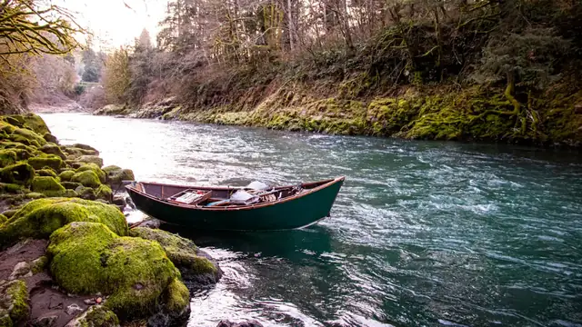 A small boat drifting on a clear green river past mossy rocks and woods
