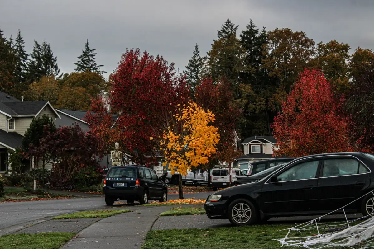 Tree-lined street in autumn with red and orange maples, older houses and cars parked at the curb