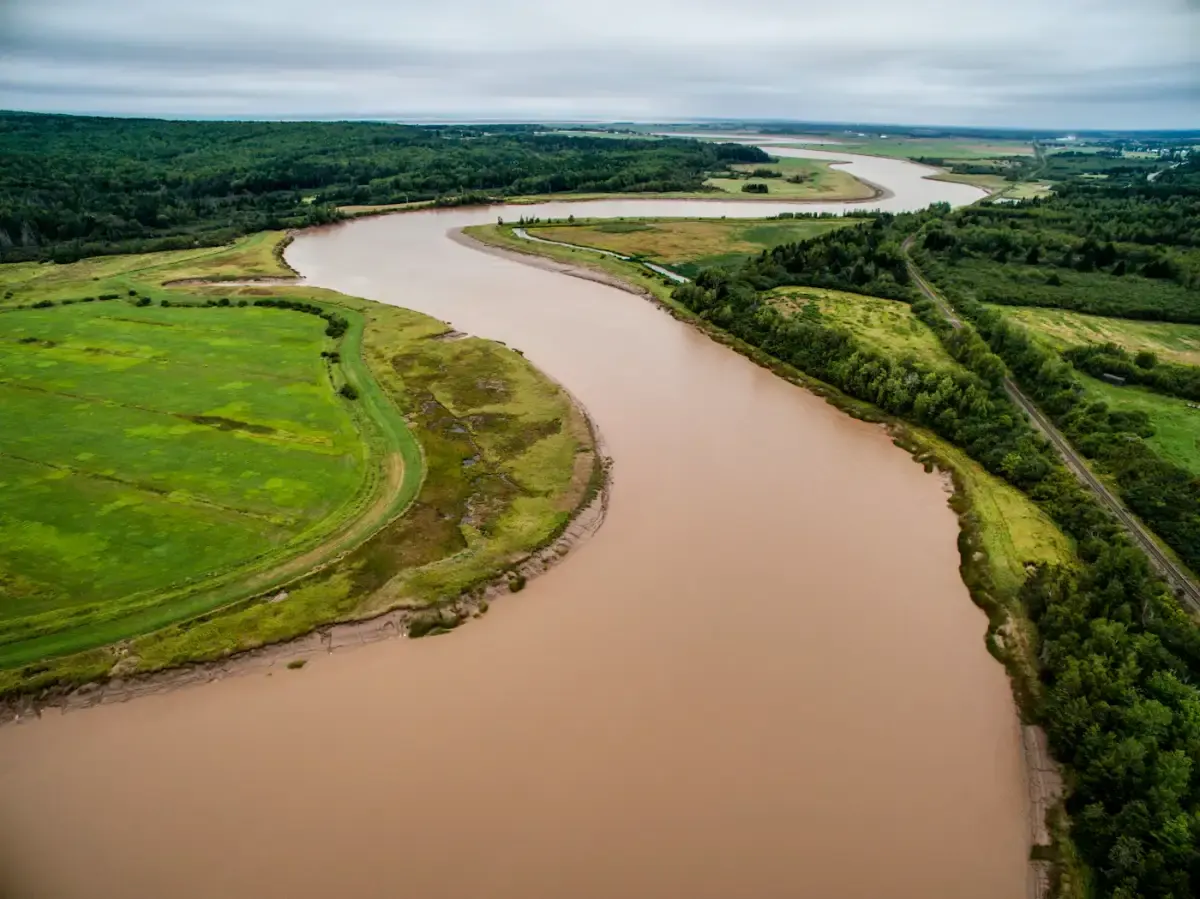 A muddy river curving between green fields and woods, seen from the air