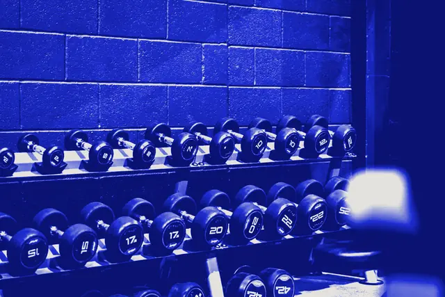 A long rack of numbered dumbbells against a grey block wall.