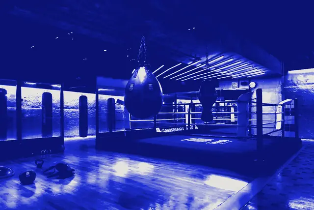 The boxing floor: a raised ring under work lights, with speed bags hanging from the ceiling.