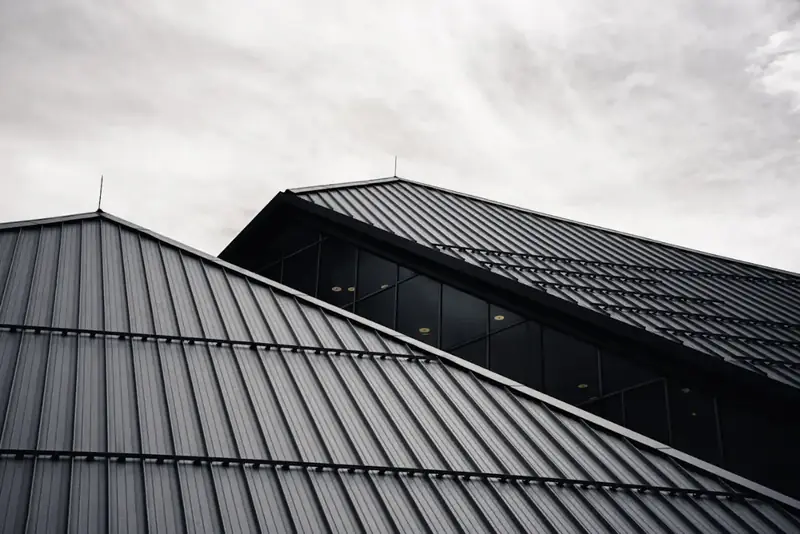 Dark grey standing-seam steel roof panels under a cloudy sky