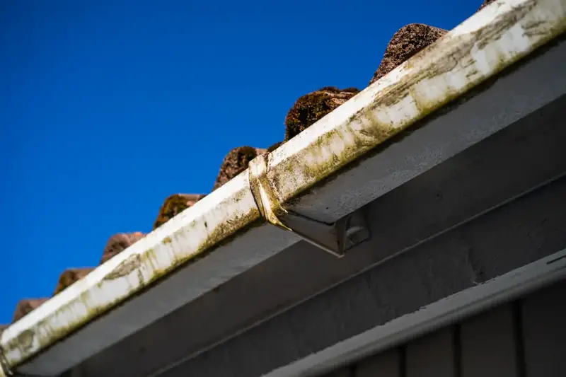 An open gutter along a tiled roof, streaked with moss and dirt against a blue sky