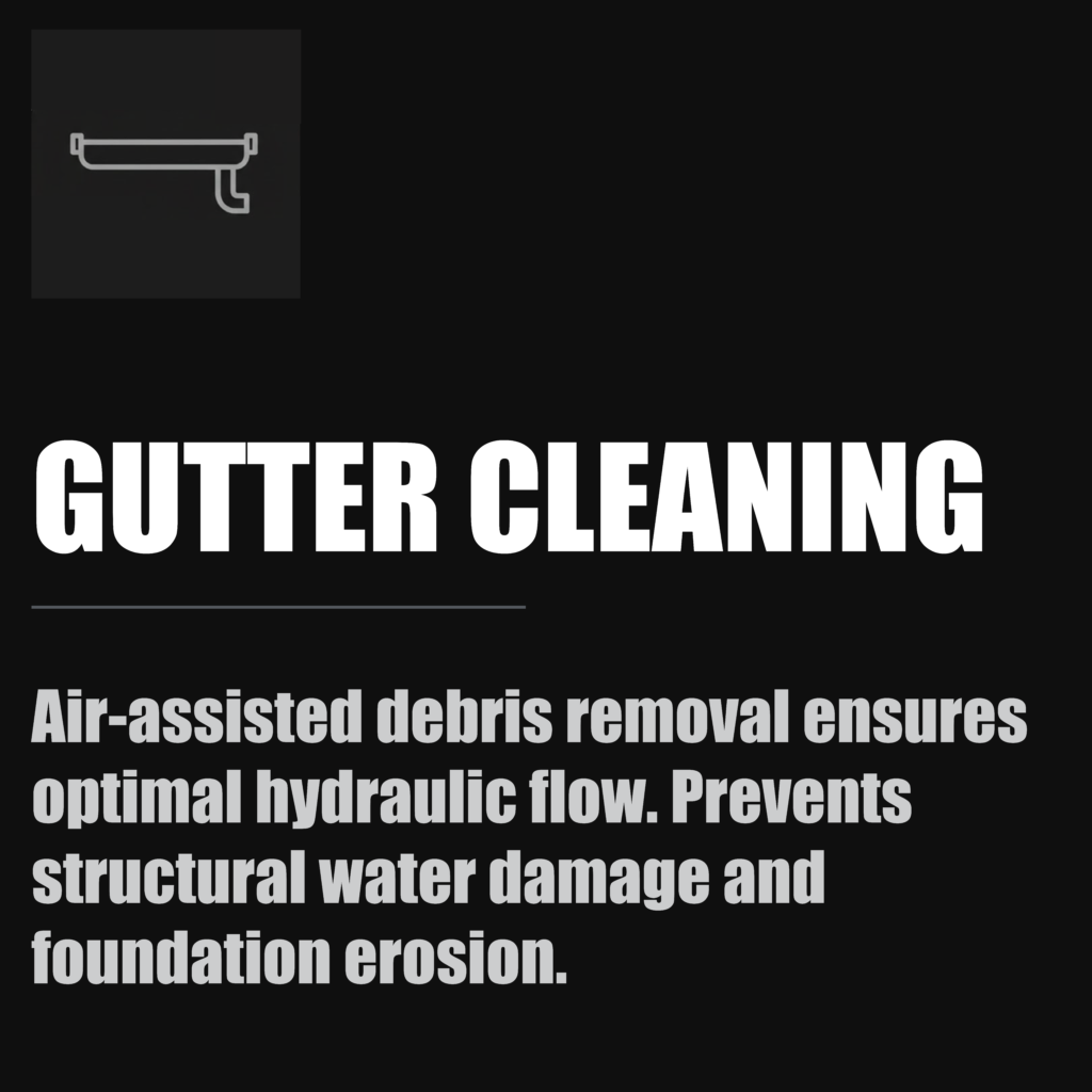 Gutter Cleaning