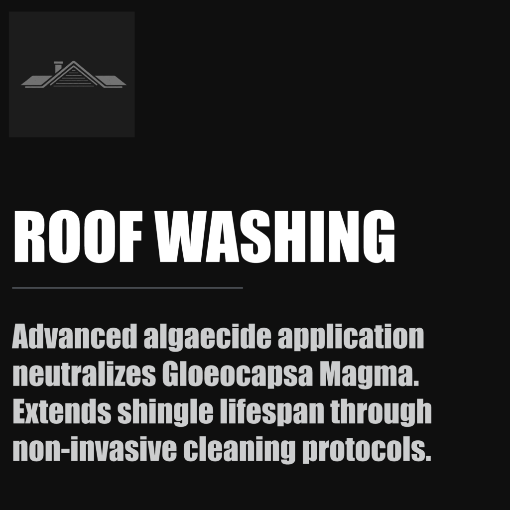 Roof Washing